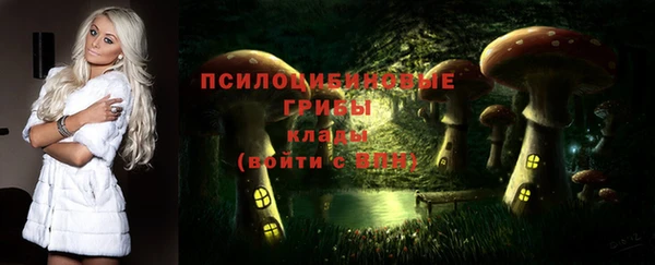 прущие грибы Няндома