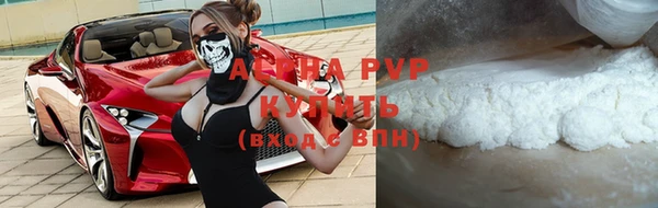 прущие грибы Няндома