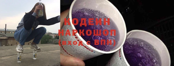прущие грибы Няндома