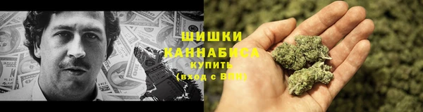 прущие грибы Няндома