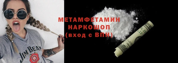 прущие грибы Няндома