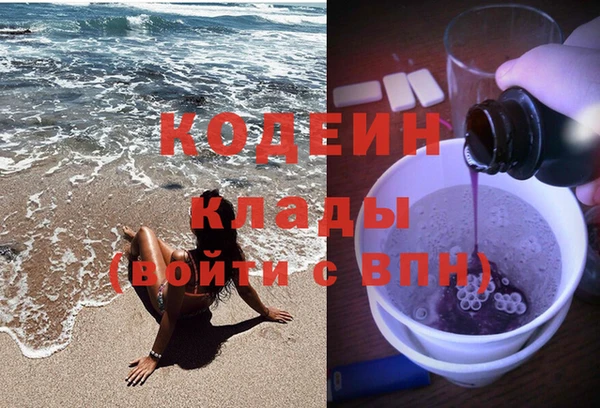 прущие грибы Няндома