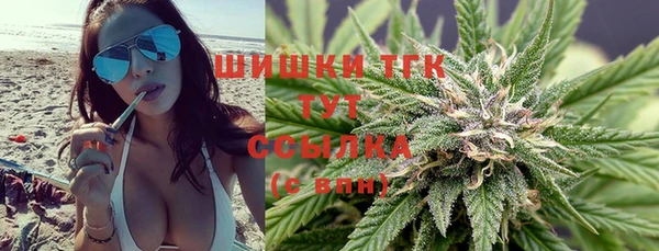 прущие грибы Няндома