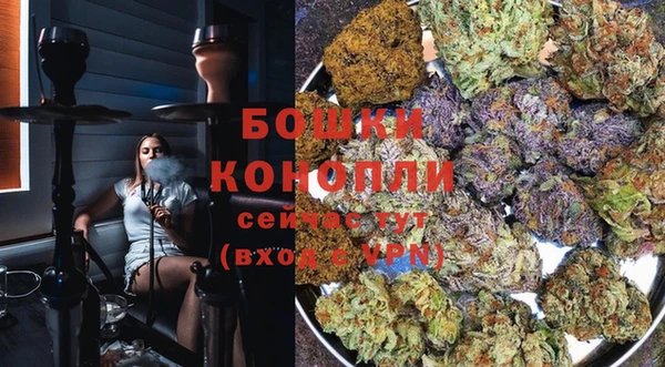 прущие грибы Няндома