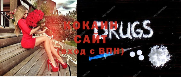 прущие грибы Няндома