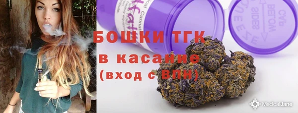 прущие грибы Няндома